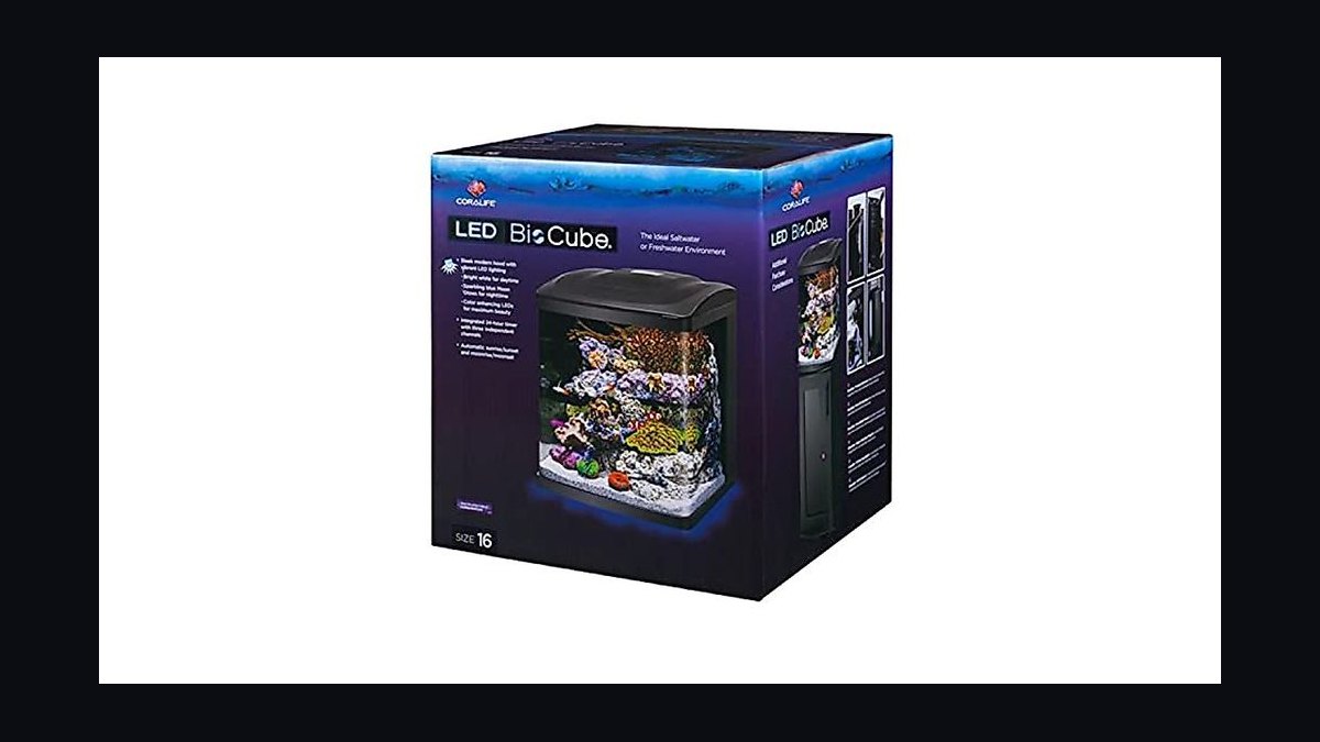 Top 10 20-Gallon Aquariums 2027 — figure 7