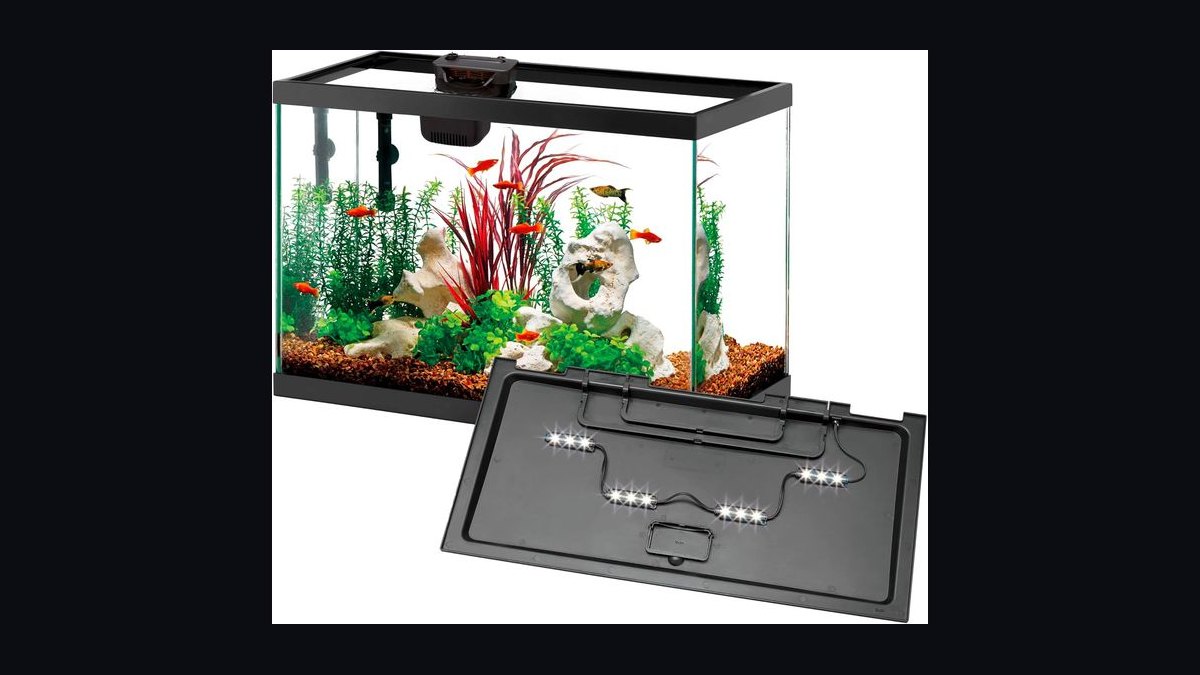 Top 10 20-Gallon Aquariums 2027 — figure 8