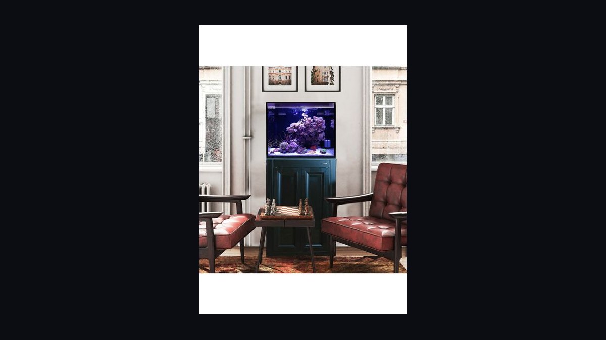 Top 10 20-Gallon Aquariums 2027 — figure 9