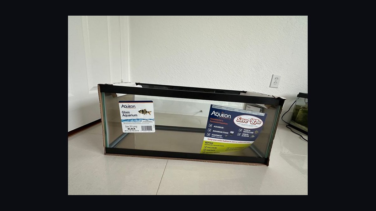 Top 10 20-Gallon Aquariums 2027