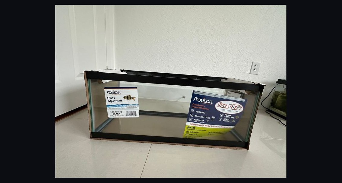 Top 10 20-Gallon Aquariums 2027