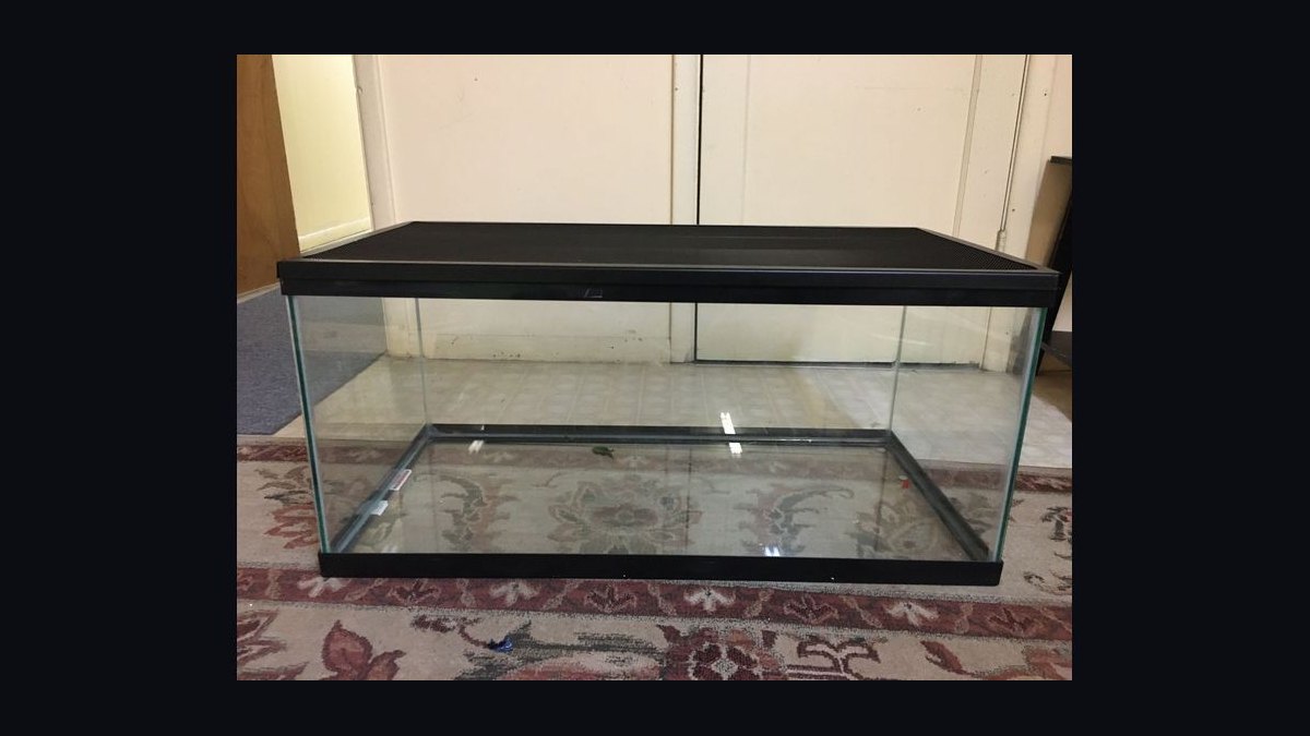 Top 10 75-Gallon Aquariums 2027