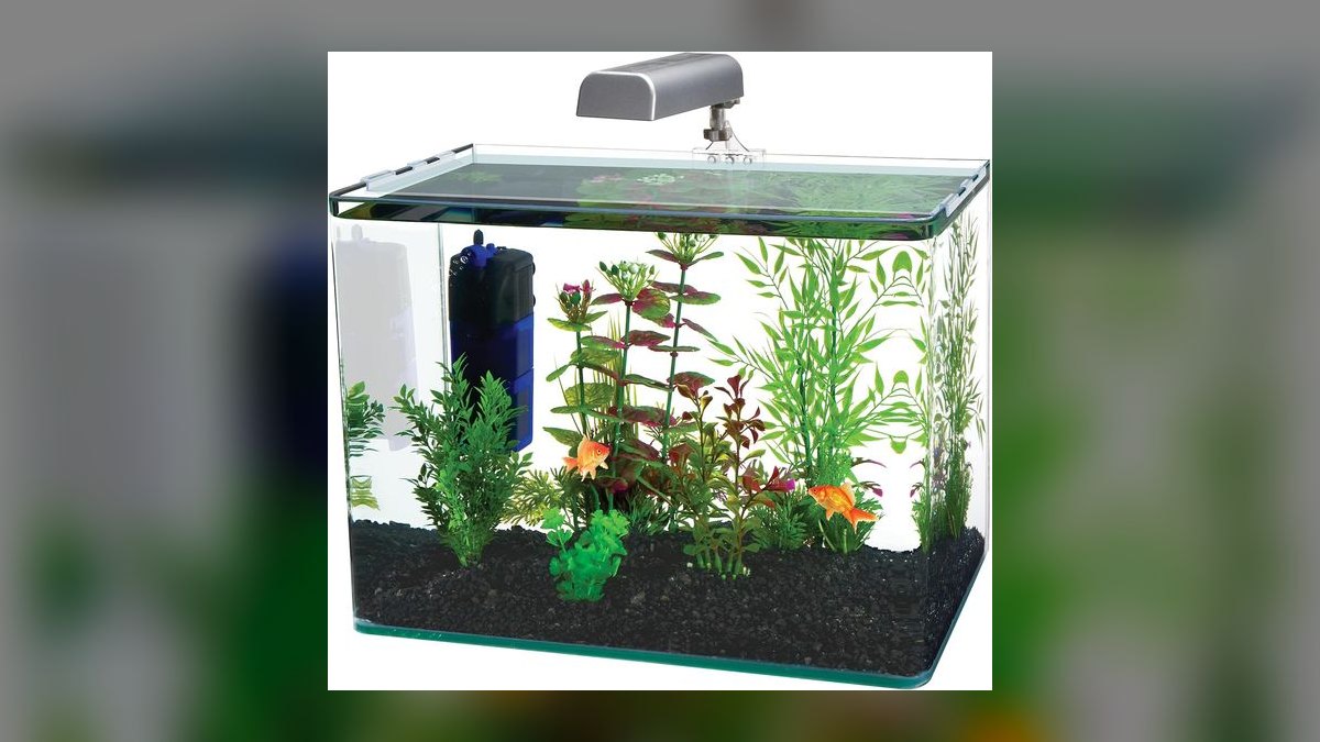 Top 10 Betta Fish Tanks 2027 — figure 10