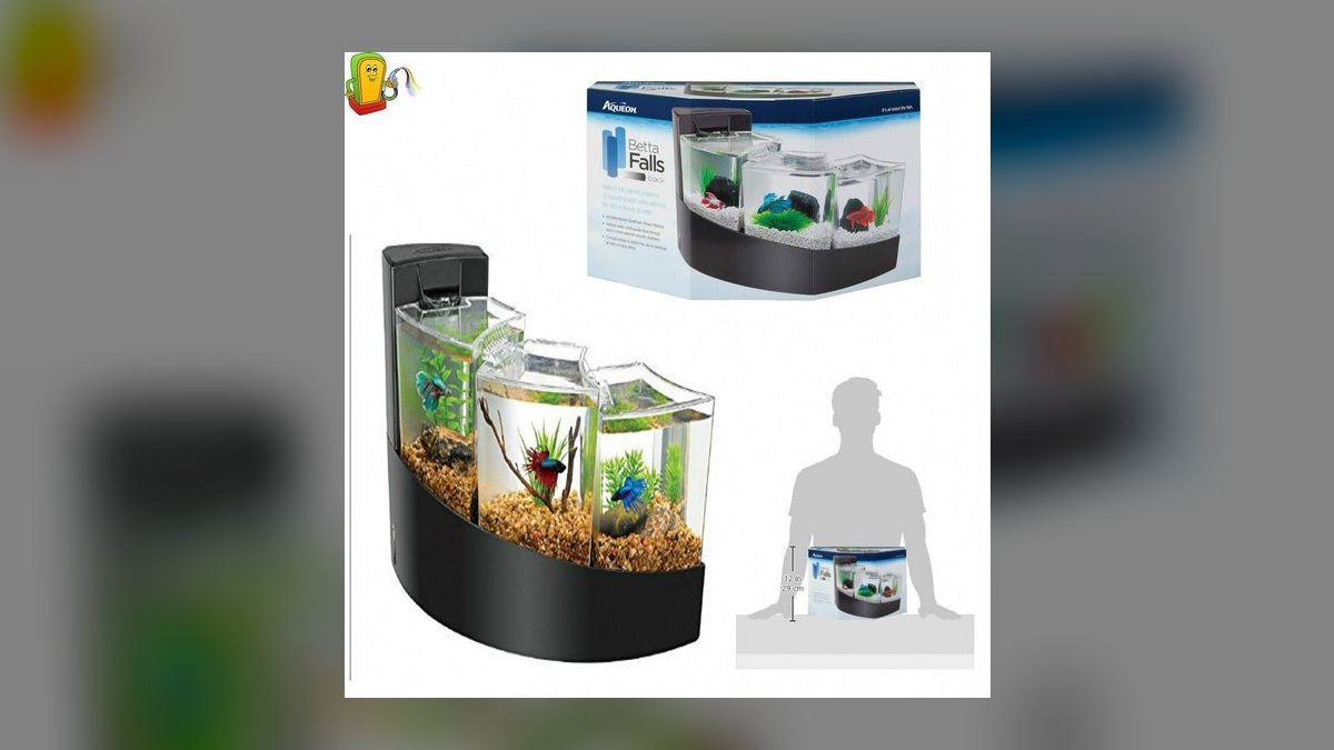 Top 10 Betta Fish Tanks 2027 — figure 8