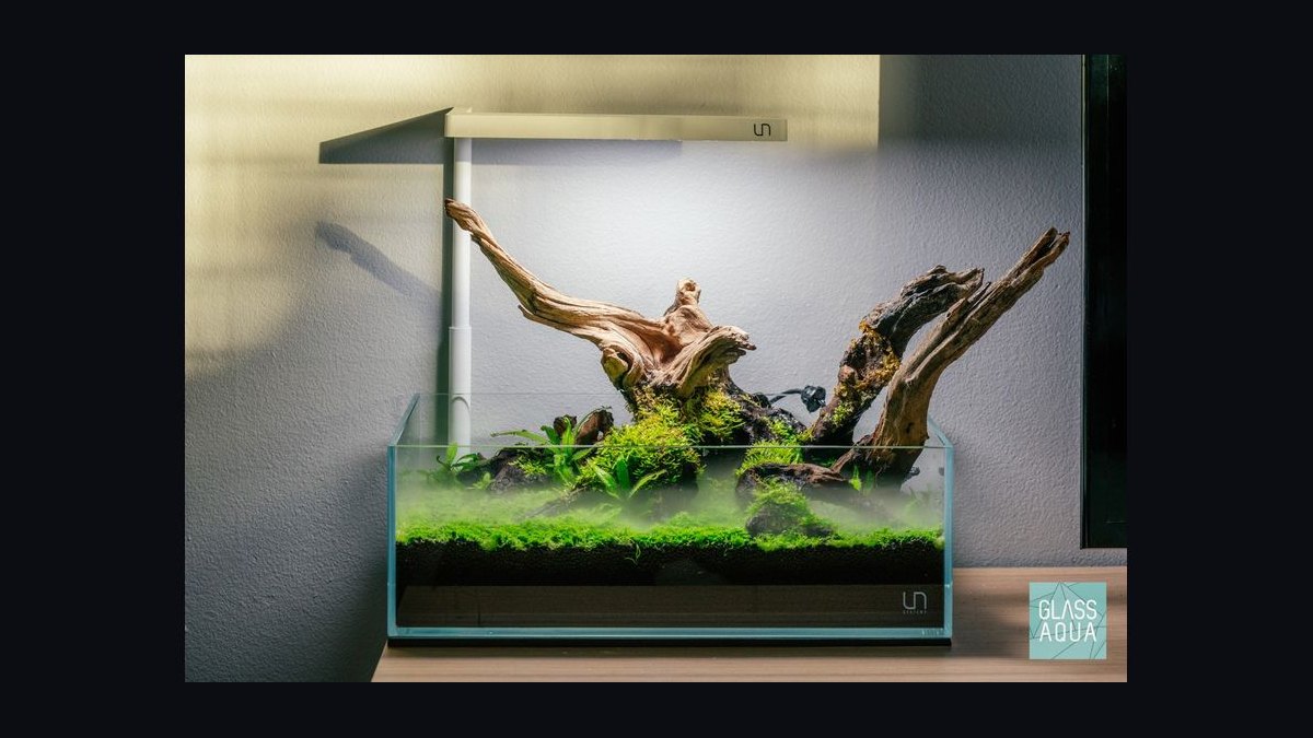 Top 10 10-Gallon Aquariums 2027 — figure 10