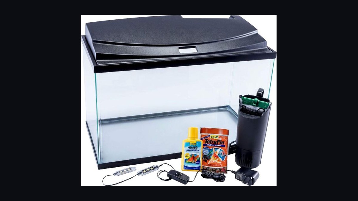 Top 10 10-Gallon Aquariums 2027 — figure 5