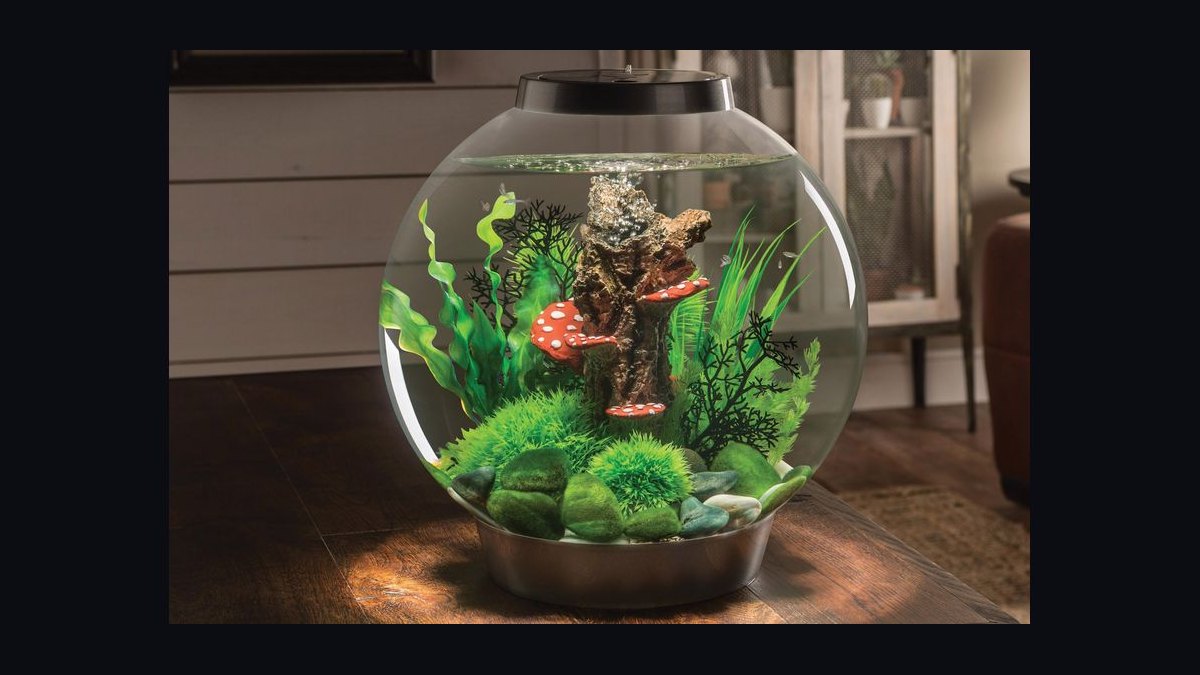 Top 10 10-Gallon Aquariums 2027 — figure 7