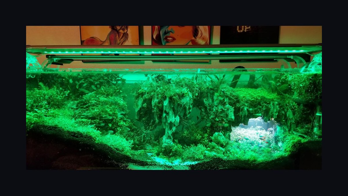 Top 10 Aquarium LED Lights 2027 — figure 8