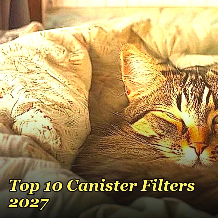 Top 10 Canister Filters 2027