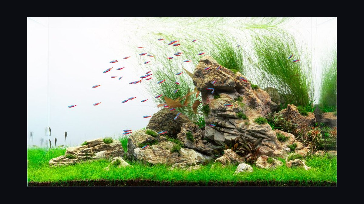 Top 10 Aquarium Substrates 2027 — figure 7