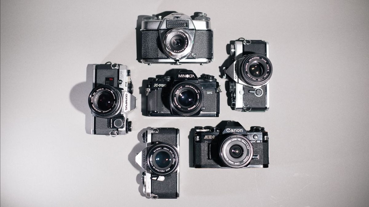 Top 10 Pet Cameras in 2027 — Best Overall + Best Value — figure 5