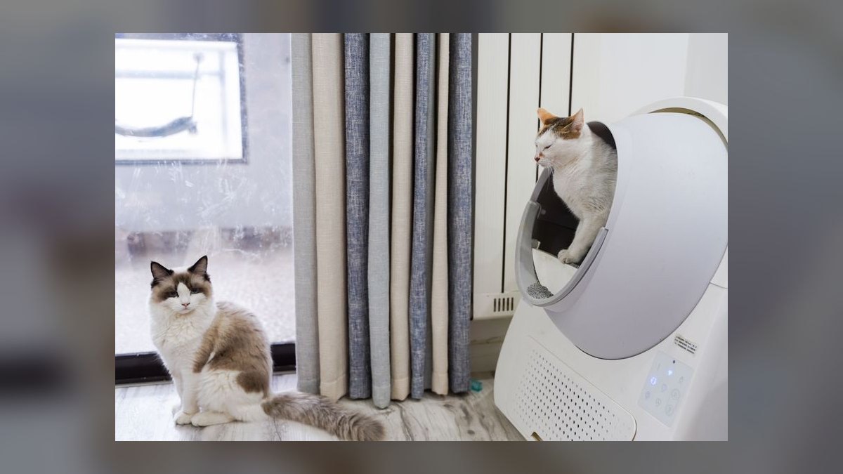 Top 10 Smart Litter Boxes — Best Overall + Best Value in 2027 — figure 2