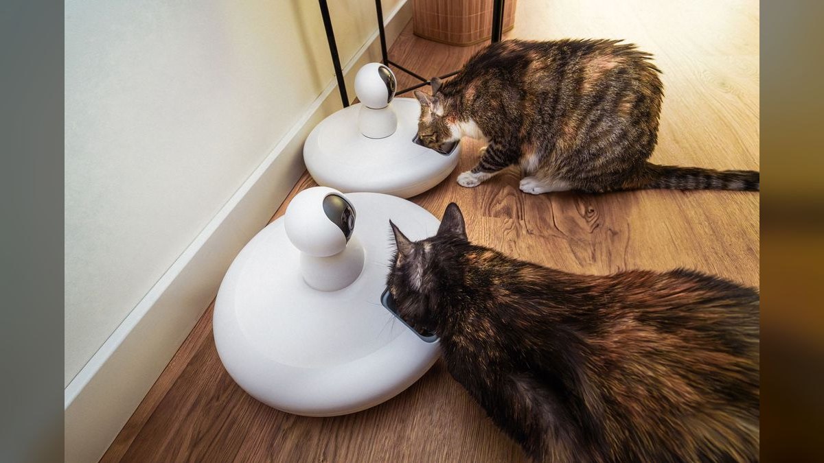 Top 10 Automatic Pet Feeders in 2027 — Best Overall + Best Value — figure 1