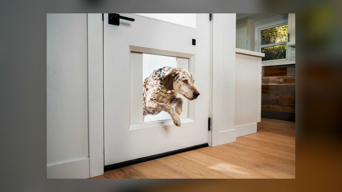 Top 10 Smart Pet Doors — Best Overall + Best Value in 2027 — figure 10