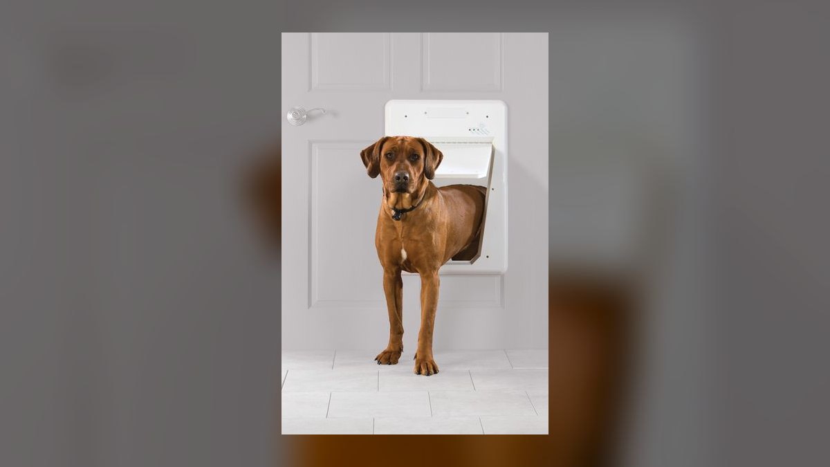 Top 10 Smart Pet Doors — Best Overall + Best Value in 2027 — figure 9