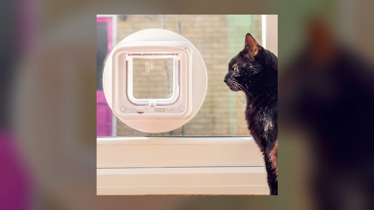 Top 10 Smart Pet Doors — Best Overall + Best Value in 2027