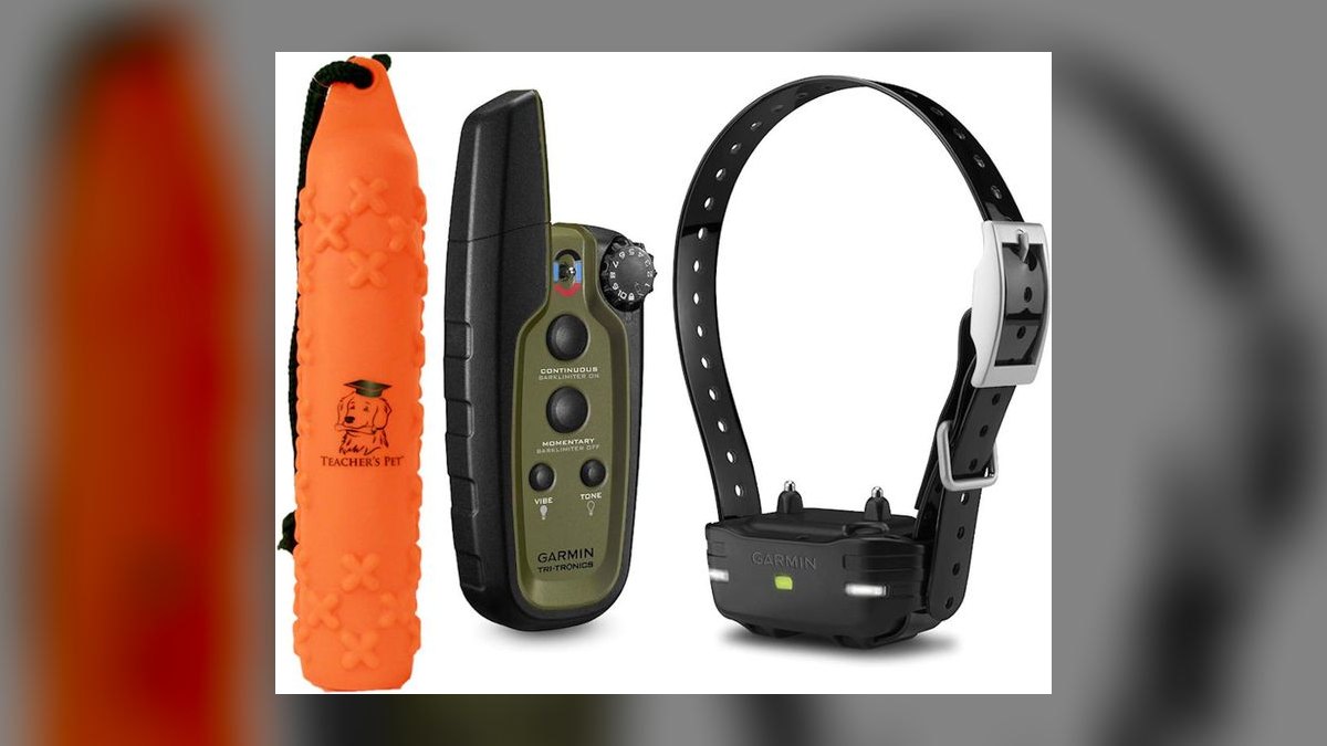 Top 10 Dog Training Collars — Best Overall + Best Value in 2027 — figure 2