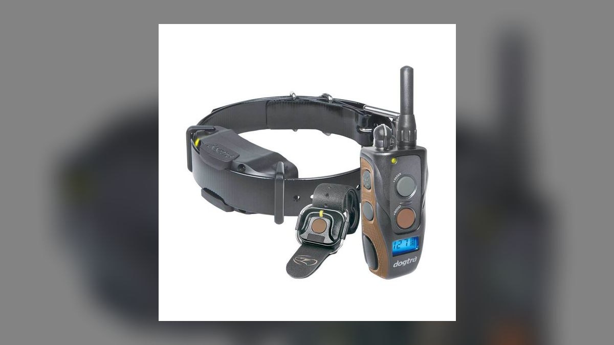 Top 10 Dog Training Collars — Best Overall + Best Value in 2027 — figure 3