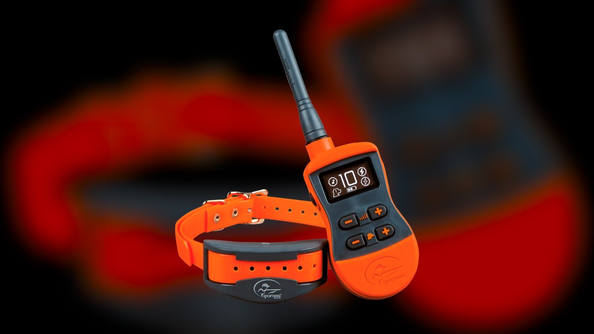 Top 10 Dog Training Collars — Best Overall + Best Value in 2027 — figure 5