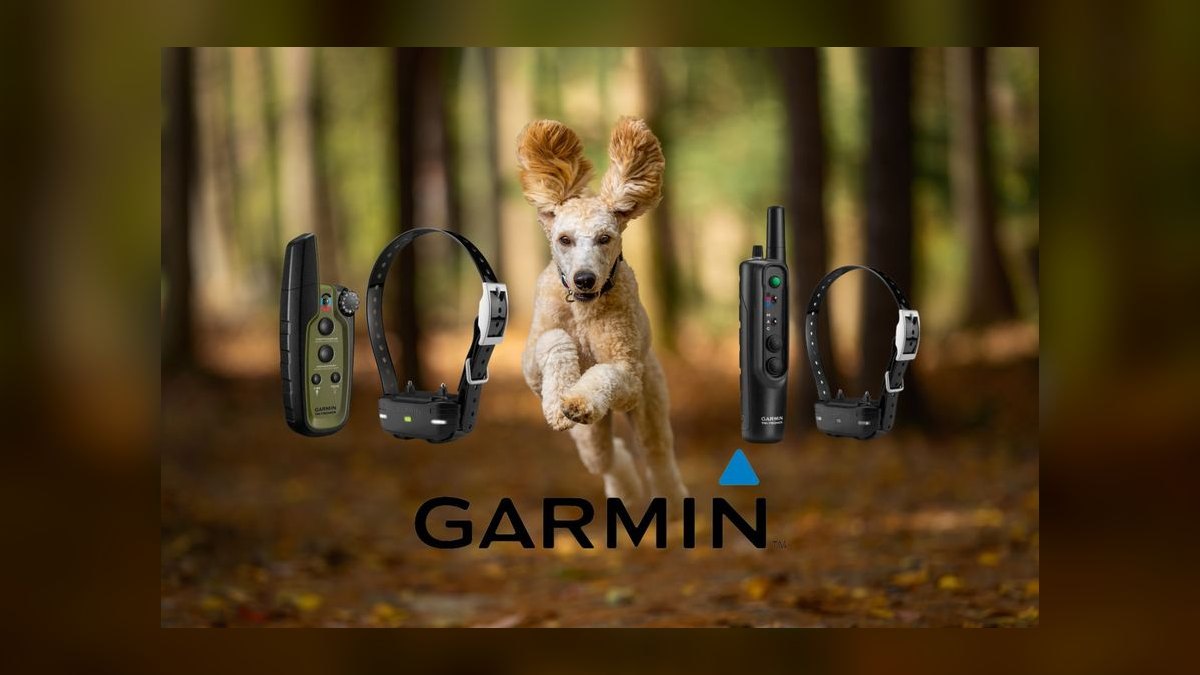 Top 10 Dog Training Collars — Best Overall + Best Value in 2027 — figure 6