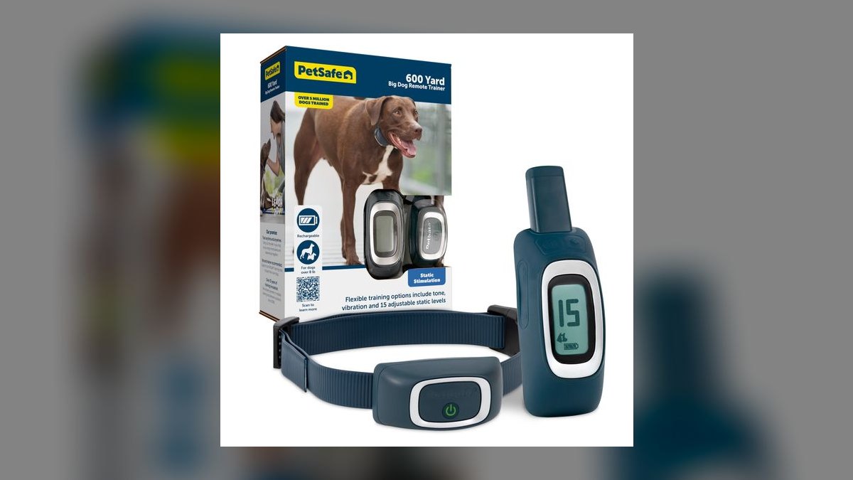 Top 10 Dog Training Collars — Best Overall + Best Value in 2027 — figure 8