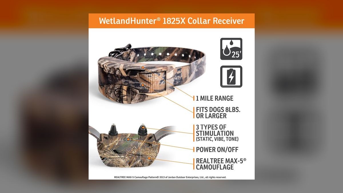 Top 10 Dog Training Collars — Best Overall + Best Value in 2027 — figure 9