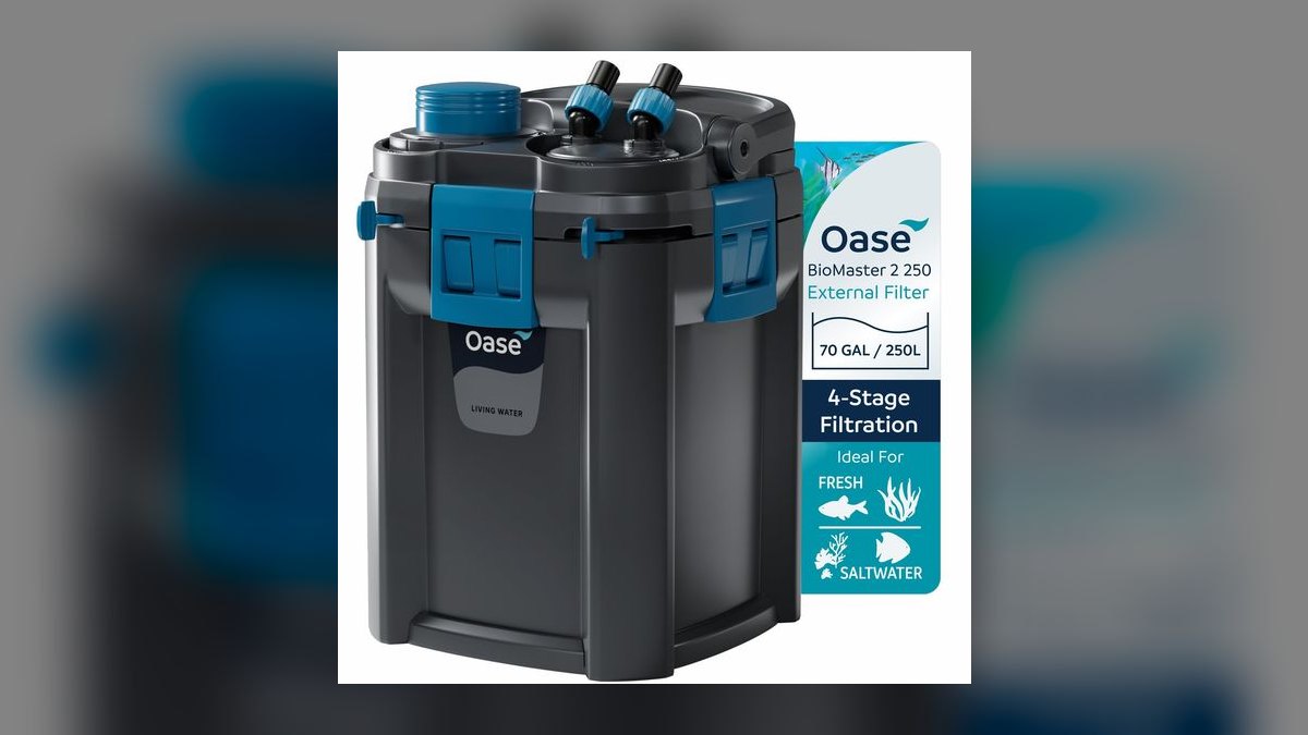 Top 10 40-Gallon Aquariums 2027