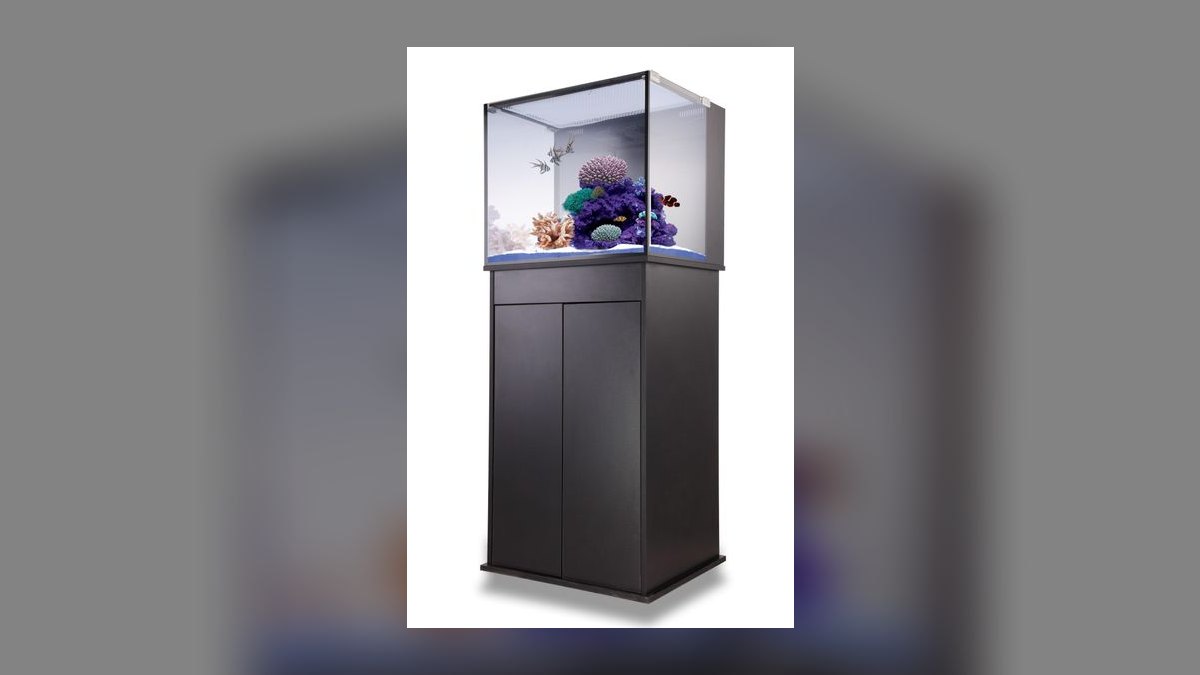 Top 10 Acrylic Aquariums 2027 — figure 4