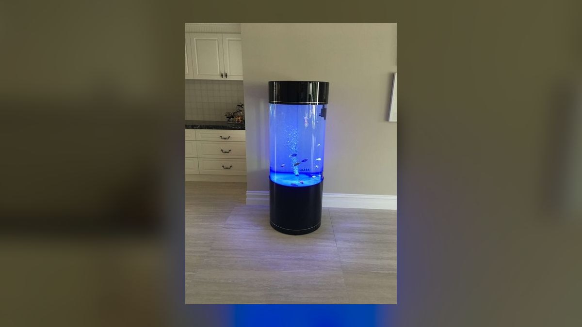 Top 10 Acrylic Aquariums 2027 — figure 8