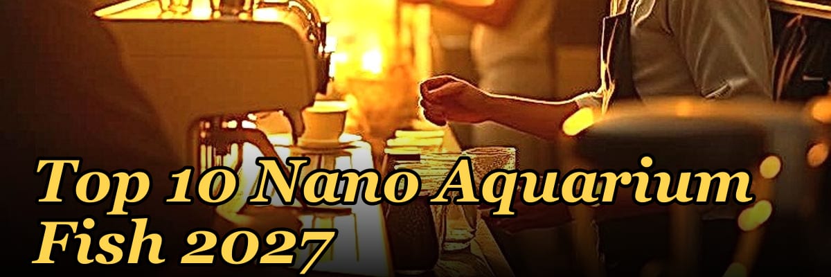 Top 10 Nano Aquarium Fish 2027