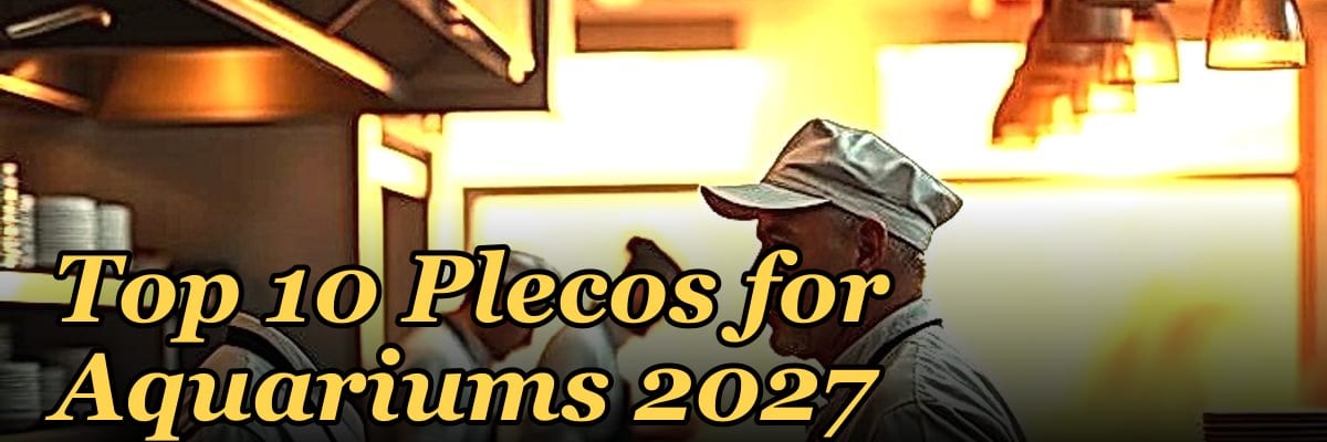 Top 10 Plecos for Aquariums 2027