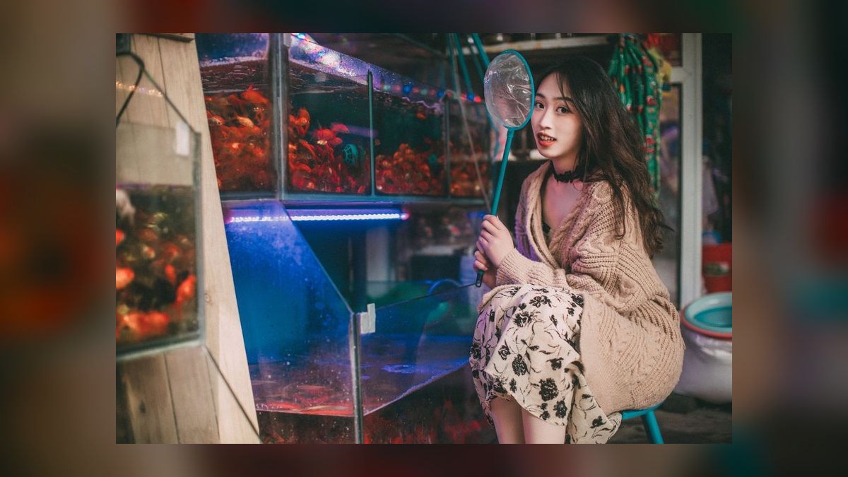 Top 10 nano tank stocking ideas 2027 — figure 1