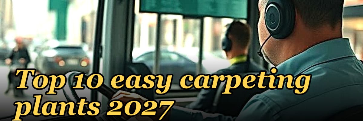 Top 10 easy carpeting plants 2027