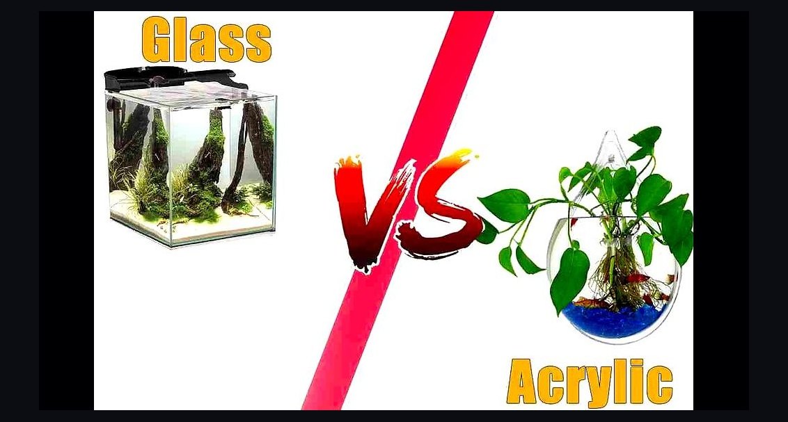 Top 10 acrylic vs glass tank pros 2027
