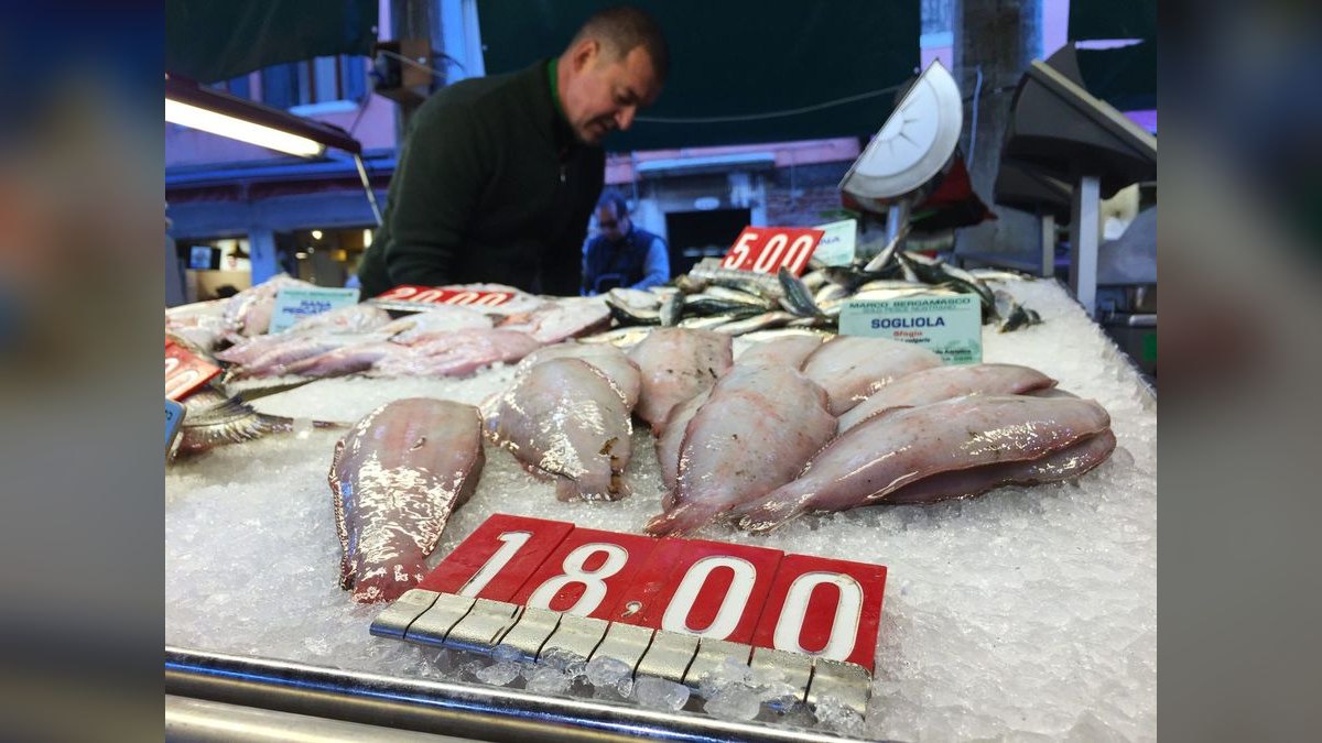 Top 10 signs of healthy fish 2027 — figure 2