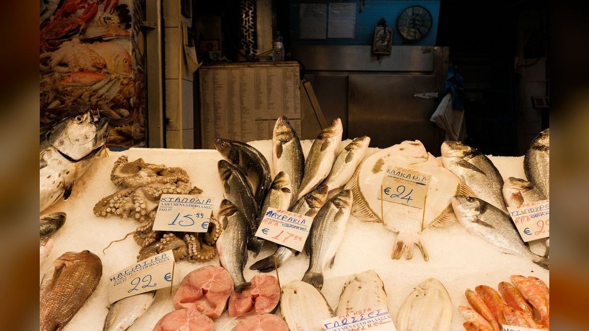 Top 10 signs of healthy fish 2027 — figure 4