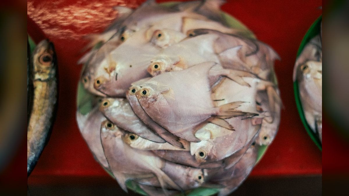 Top 10 signs of healthy fish 2027 — figure 6