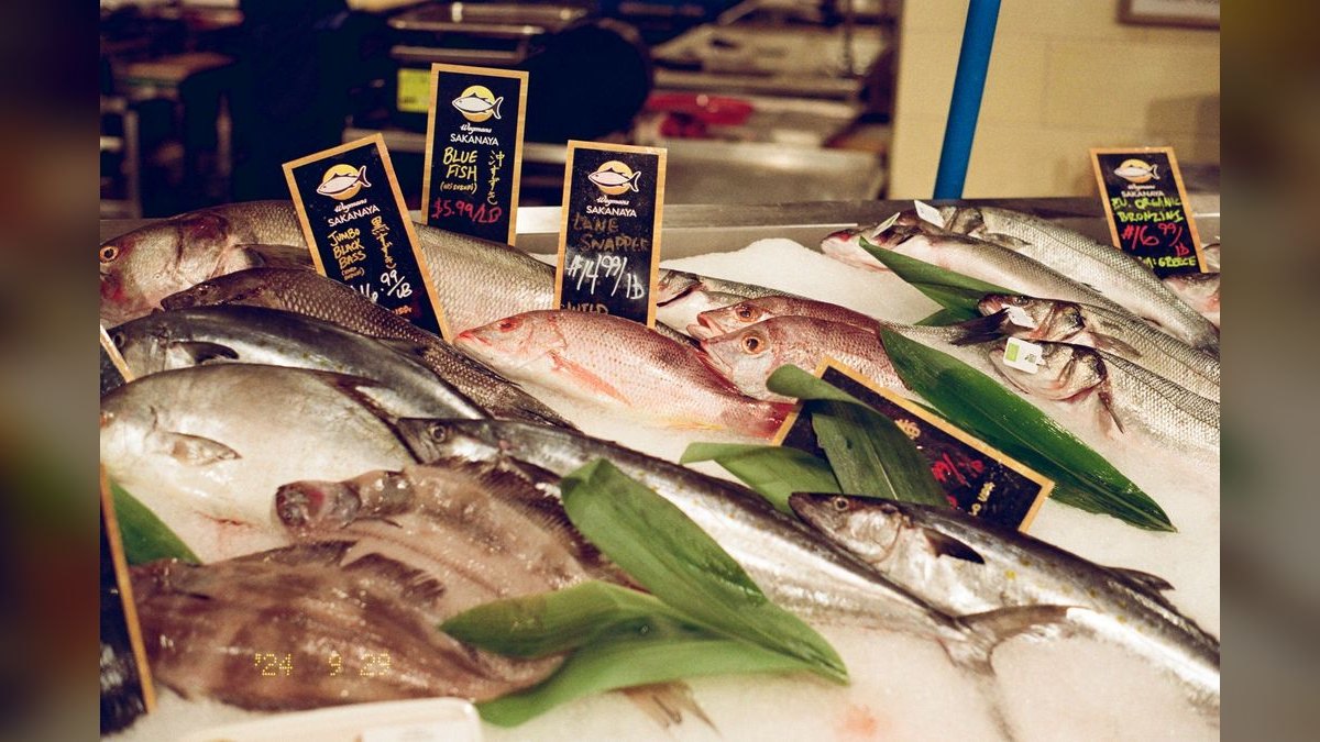 Top 10 signs of healthy fish 2027