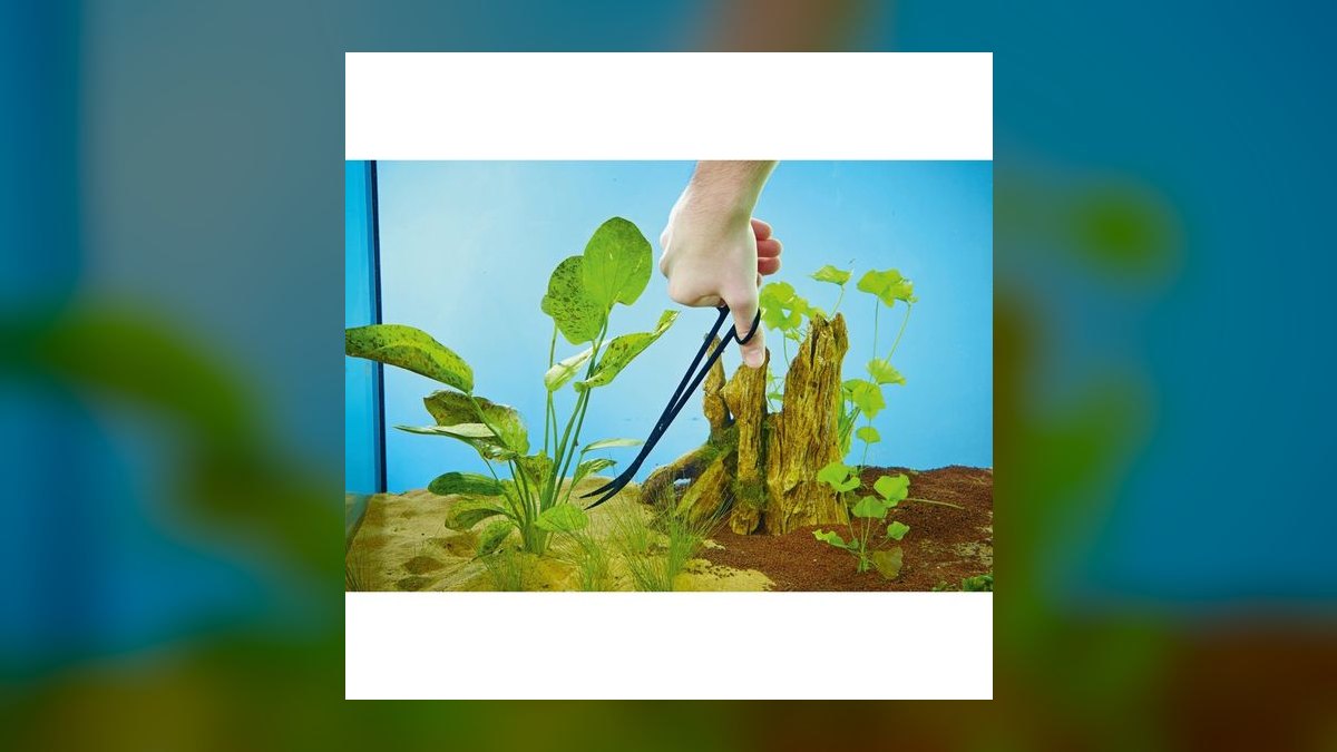 Top 10 aquarium plant trimmers 2027 — figure 6