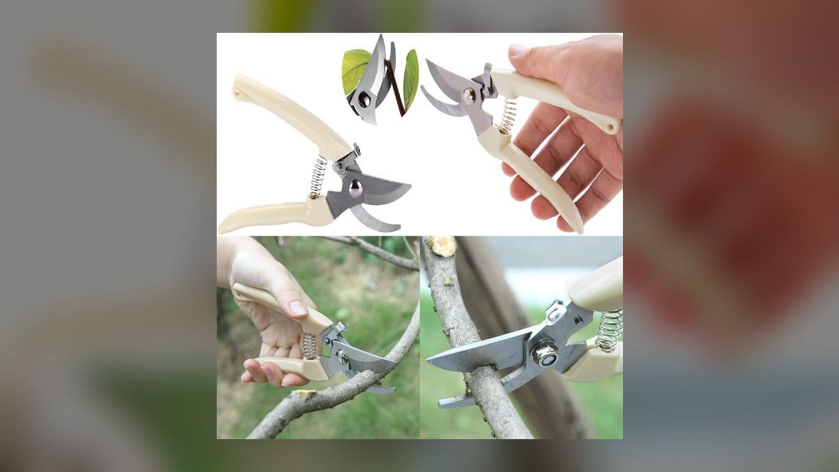 Top 10 aquarium plant trimmers 2027 — figure 7