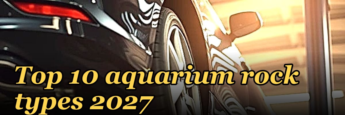 Top 10 aquarium rock types 2027