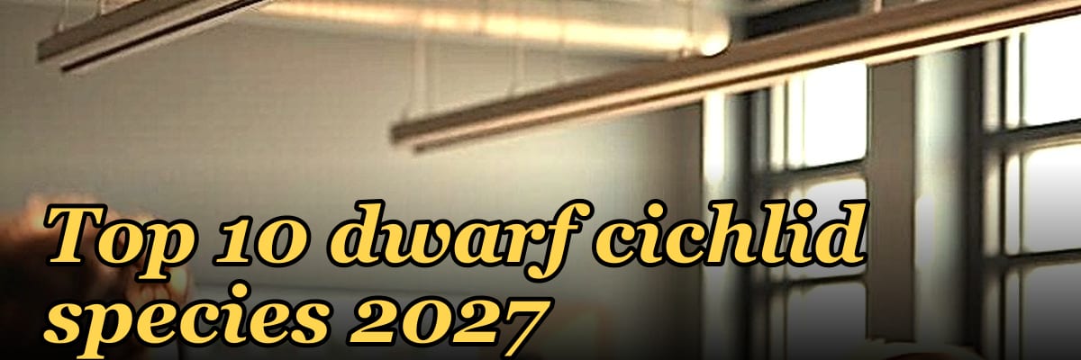 Top 10 dwarf cichlid species 2027