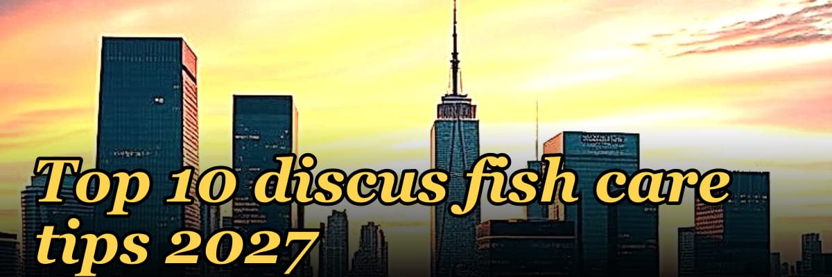 Top 10 discus fish care tips 2027