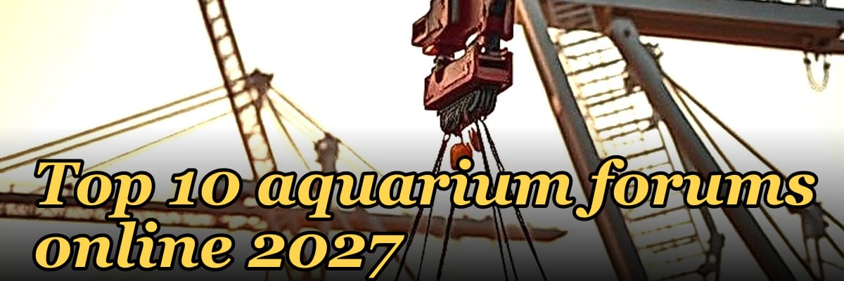 Top 10 aquarium forums online 2027
