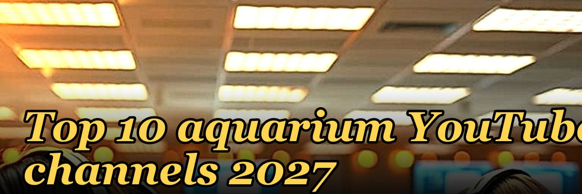 Top 10 aquarium YouTube channels 2027