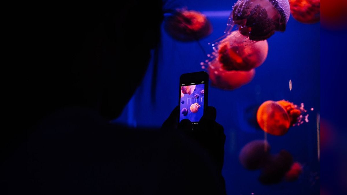 Top 10 aquarium photography tips 2027 — figure 6