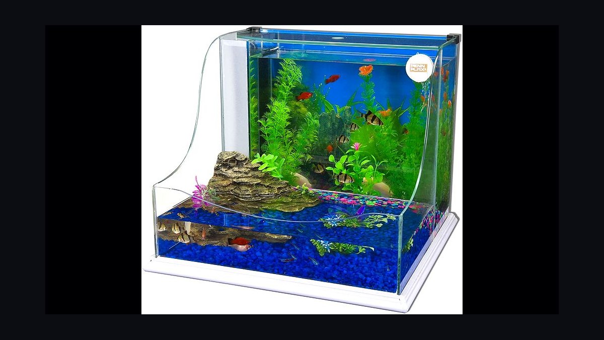 Top 10 quarantine tank setups 2027 — figure 9