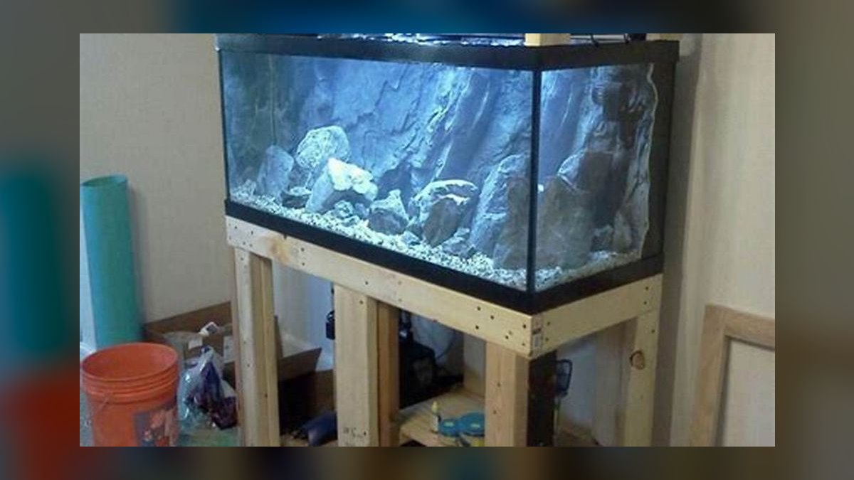 Top 10 DIY tank stand plans 2027 — figure 9