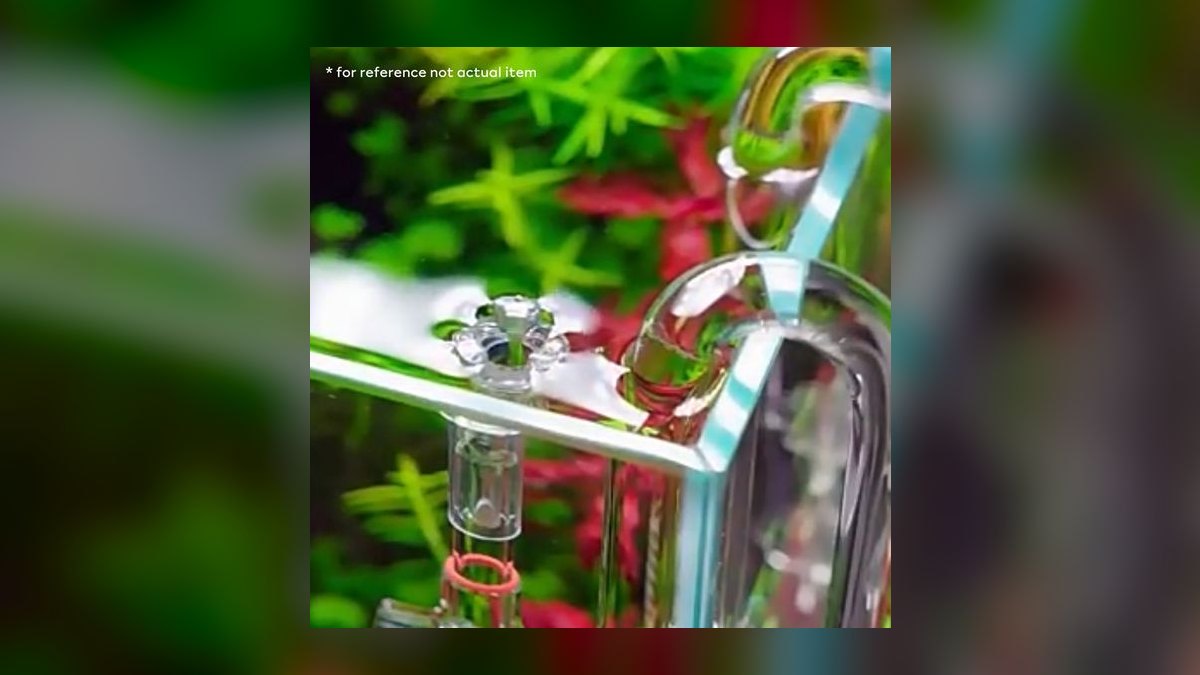 Top 10 nature aquarium styles 2027 — figure 10