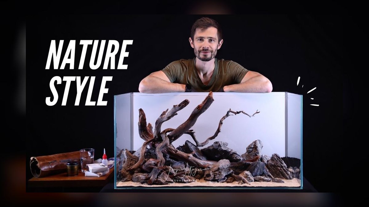 Top 10 nature aquarium styles 2027 — figure 2